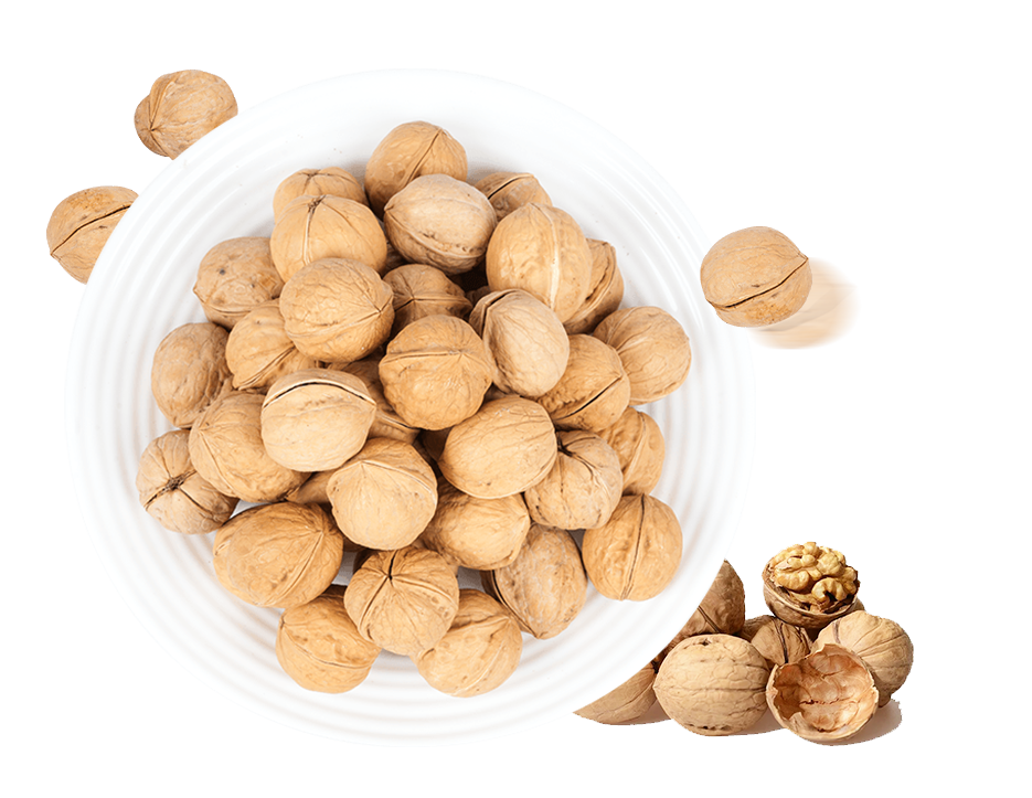 Walnut kertas rasa susu