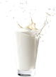 Rasa susu